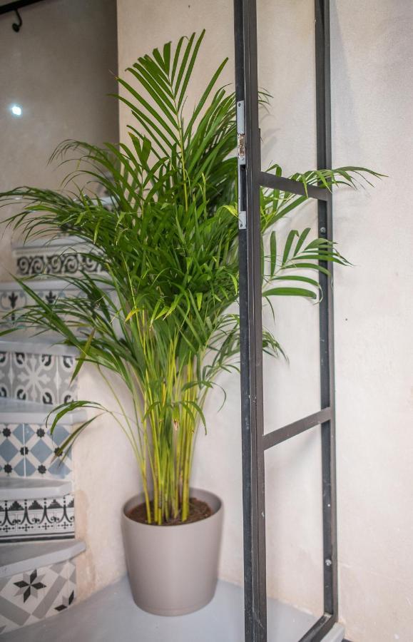 Rey De Sevilla Flats - Duplex Museo Exterior foto
